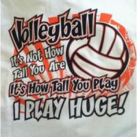 Volleyball quote #1