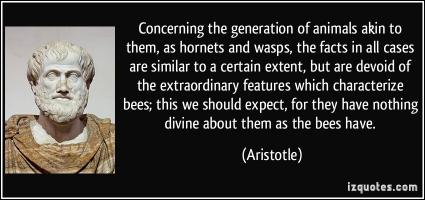 Wasps quote #1