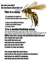 Wasps quote #1