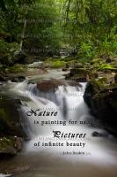 Waterfall quote #2