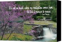 Waterfall quote #2