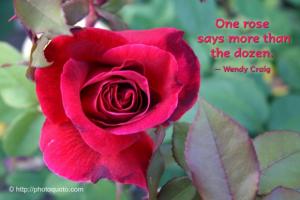 Wendy Craig's quote #1