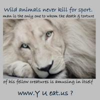 Wild Animals quote #2