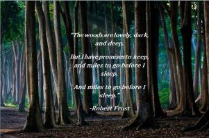 Woods quote #7