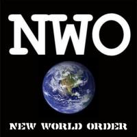World Order quote #2